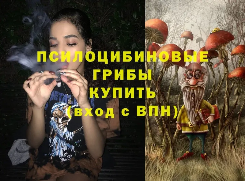 купить  сайты  Алапаевск  Псилоцибиновые грибы Magic Shrooms 